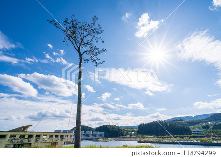 "Iwate Prefecture" Miracle Pine Tree, Rikuzentakata City "Iwate Prefecture" Miracle Pine Tree, Rikuzentakata City 118794299