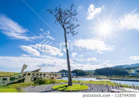 「岩手縣」奇蹟松，陸前高田市 118794300