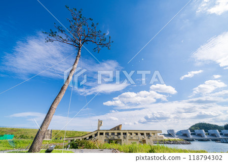 "Iwate Prefecture" Miracle Pine Tree, Rikuzentakata City 118794302