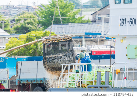 "Aomori Prefecture" Hachinohe Port First Fish Market - Sardines landed at Hachinohe City "Aomori Prefecture" Hachinohe Port First Fish Market - Sardines landed at Hachinohe City 118794432