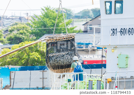 "Aomori Prefecture" Hachinohe Port First Fish Market - Sardines landed at Hachinohe City "Aomori Prefecture" Hachinohe Port First Fish Market - Sardines landed at Hachinohe City 118794433