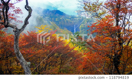 Autumn leaves from Akechidaira to Kegon Falls Autumn leaves from Akechidaira to Kegon Falls 118794819