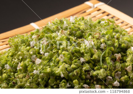 紫蘇野果 118794868