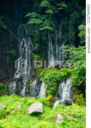 Shiraito Falls, Shiraito no Taki, in Fujinomiya, Shizuoka, Japan 118794943