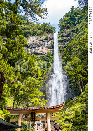 Nachi Falls in Higashimuro District, Wakayama, Japan 118794944