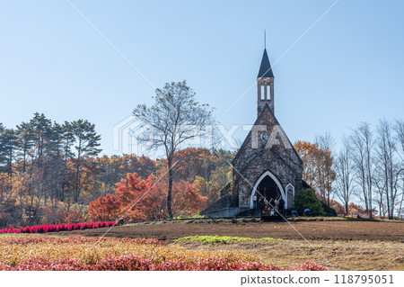 A church seen beyond the flower fields of Hirugano Plateau Pastoral Village in autumn, Gujo City, Gifu Prefecture 118795051