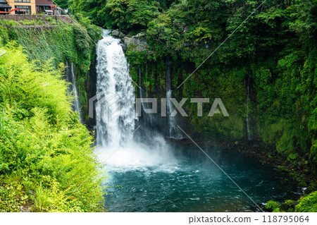 Shiraito Falls, Shiraito no Taki, in Fujinomiya, Shizuoka, Japan Shiraito Falls, Shiraito no Taki, in Fujinomiya, Shizuoka, Japan 118795064