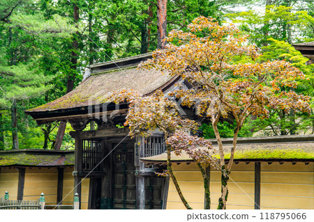Kongobu-ji temple in Koya, Ito District, Wakayama, Japan 118795066