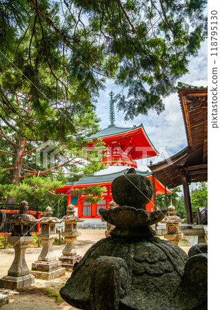 Kongobu-ji temple in Koya, Ito District, Wakayama, Japan 118795130