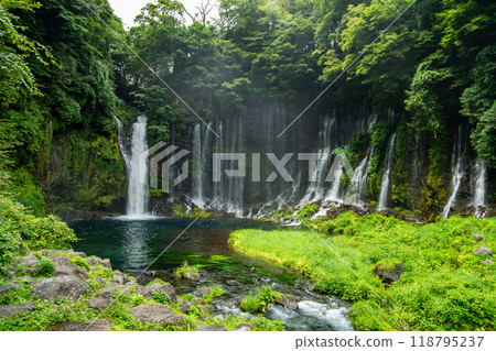 Shiraito Falls, Shiraito no Taki, in Fujinomiya, Shizuoka, Japan 118795237