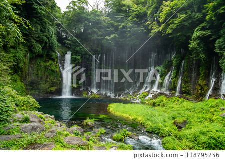 Shiraito Falls, Shiraito no Taki, in Fujinomiya, Shizuoka, Japan 118795256