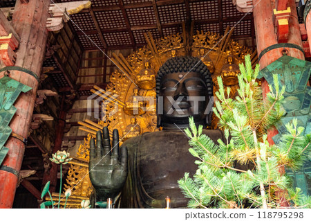 Todai-ji temple in Nara, japan 118795298