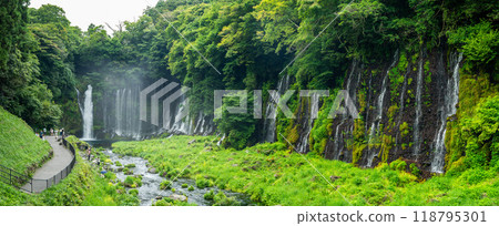 Shiraito Falls, Shiraito no Taki, in Fujinomiya, Shizuoka, Japan 118795301