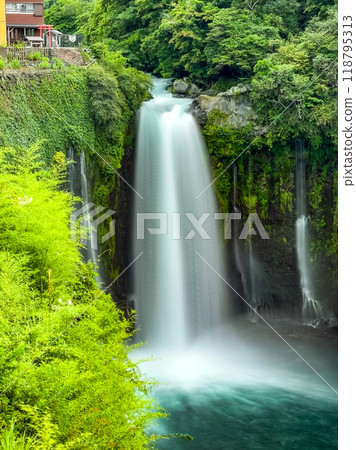 Shiraito Falls, Shiraito no Taki, in Fujinomiya, Shizuoka, Japan 118795313