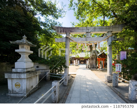 The approach to Nitta Shrine, Ota Ward, Tokyo 118795370