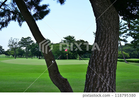 透過樹林的縫隙可以看到仲夏的高爾夫球場 118795380