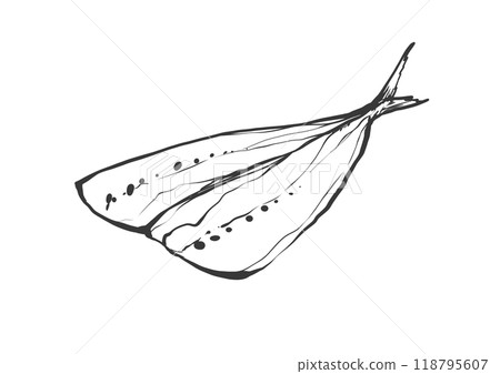 日式手繪線描沙丁魚插圖 日式手繪線描沙丁魚插圖 118795607