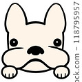 French bulldog 118795957