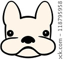 French bulldog 118795958