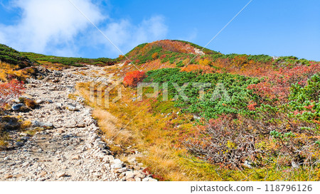 Autumn climbing of Mt. Karamatsu (from Happoike to Maruyama) Autumn climbing of Mt. Karamatsu (from Happoike to Maruyama) 118796126