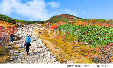 Autumn climbing of Mt. Karamatsu (from Happoike to Maruyama) 118796132