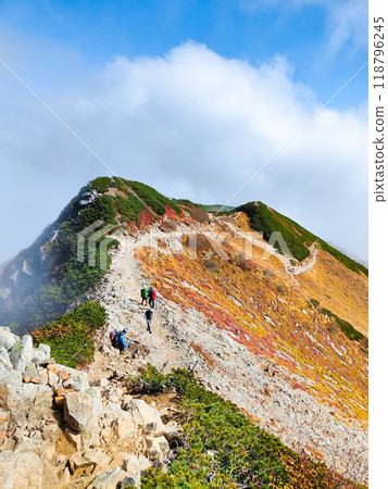 秋季唐松山登山（丸山～山頂） 118796245