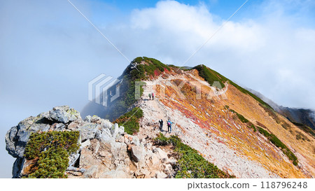 Autumn climbing of Mt. Karamatsu (Maruyama to the summit) Autumn climbing of Mt. Karamatsu (Maruyama to the summit) 118796248
