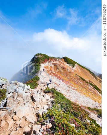 Autumn climbing of Mt. Karamatsu (Maruyama to the summit) Autumn climbing of Mt. Karamatsu (Maruyama to the summit) 118796249