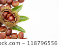 Chestnuts, chestnuts, copy space 118796556