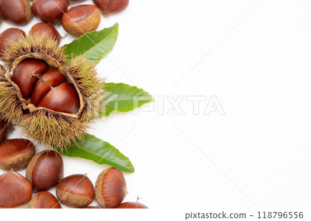 栗子栗子複製空間 栗子栗子複製空間 118796556