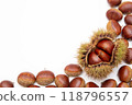 Chestnuts, chestnuts, copy space 118796557