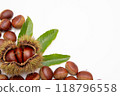 Chestnuts, chestnuts, copy space 118796558