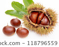 Chestnut 118796559