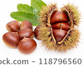 Chestnut 118796560