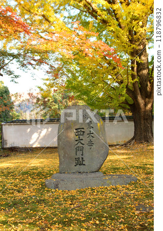 東大寺西大門跡的秋葉 東大寺西大門跡的秋葉 118796832