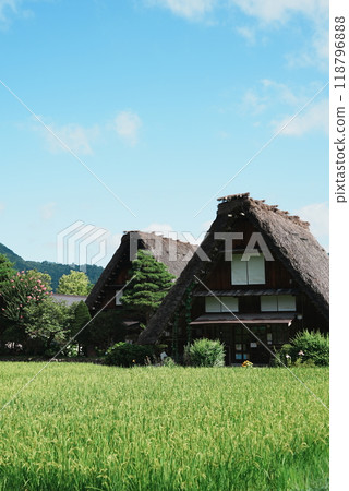 [縱貫照片]白川鄉的美麗風景 118796888