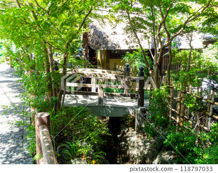 清澈的泉水和水車的風景 118797033