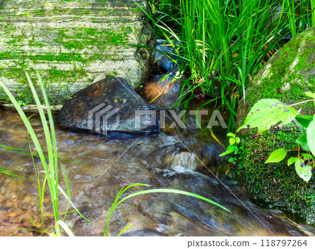 清澈的泉水 118797264