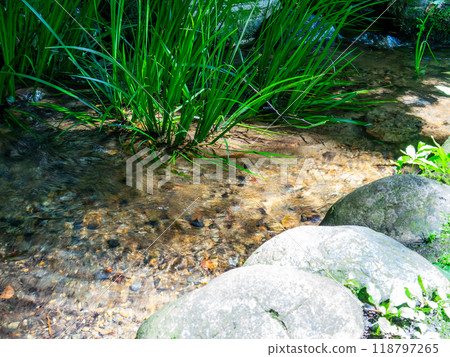 Clear flow from the spring 118797265