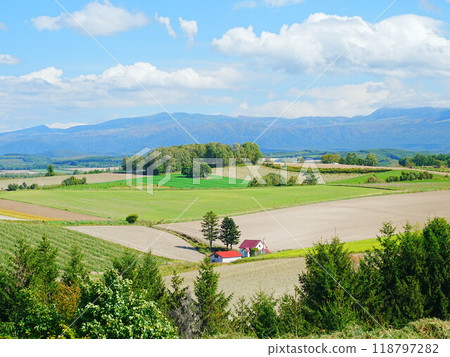 北海道秋天的美瑛紅色屋頂山屋 118797282
