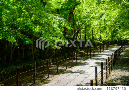 A cobblestone road surrounded by fresh greenery 118797430