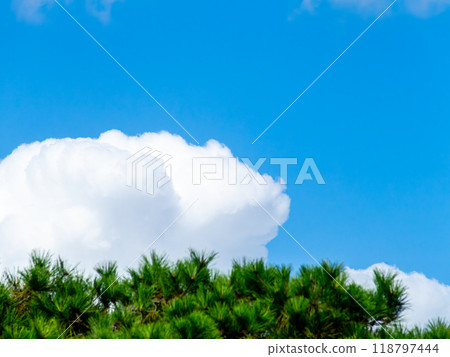 刷新的藍天和雲彩 刷新的藍天和雲彩 118797444