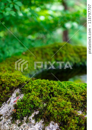 京都市左京區大原少林院町、實光院（魚山大原寺）、舊立覺院 118797707