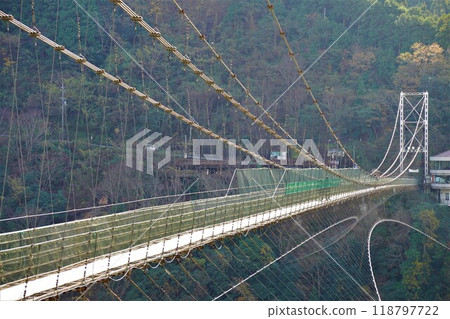 Tanisebashi, Totsukawa Village 118797722