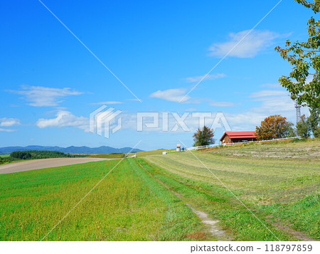 秋季北海道美瑛山的壯麗景色 Shinei Hill 秋季北海道美瑛山的壯麗景色 Shinei Hill 118797859