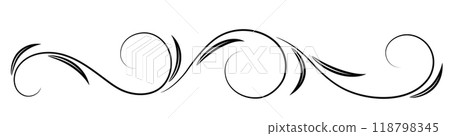 Floral ornament with leaves and abstract lines. Graceful element for decor and greeting or invitation card design 118798345