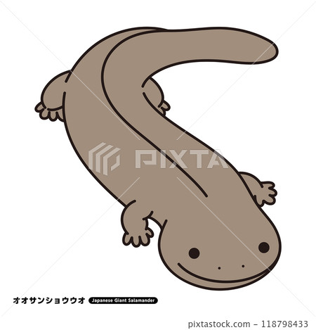 Giant salamander illustration 118798433
