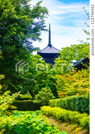[Kyoto Scenery] Toji Temple - Flowing clouds and five-story pagoda 118798482