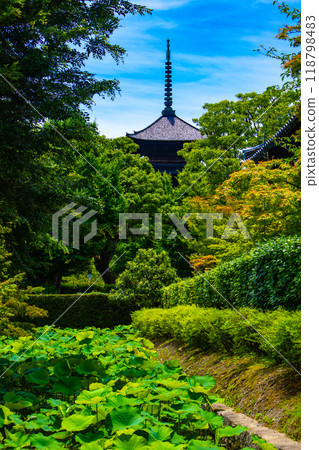 [Kyoto Scenery] Toji Temple - Flowing clouds and five-story pagoda 118798483
