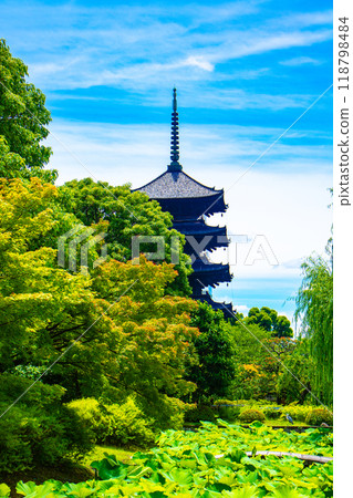 [Kyoto Scenery] Toji Temple - Flowing clouds and five-story pagoda 118798484